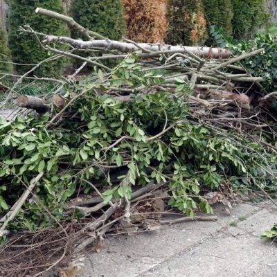 Pile,Of,Yard,Cleanup,Clippings.,Branches,And,Limbs.